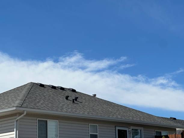 Best Roof Moss and Algae Removal  in Freeport, TX