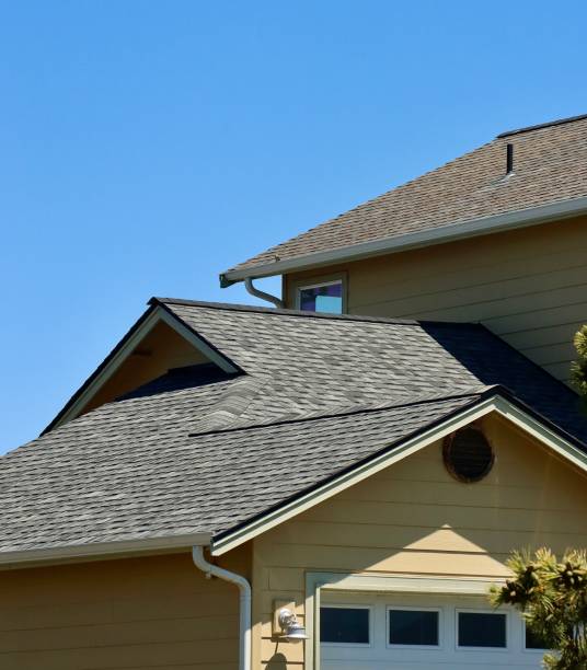 Best Roof Maintenance and Cleaning  in Freeport, TX